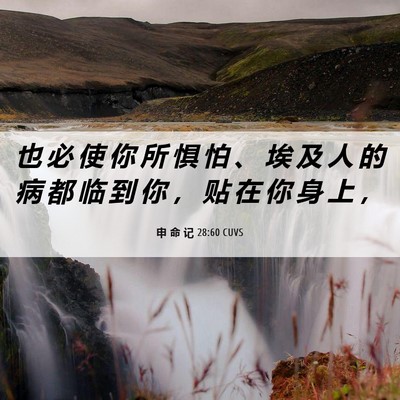 Picture 06 - 申 命 记 28:60 CUVS - 也 必 使 你 所 惧 怕 、 埃 及 人 的 - Bible Verse Picture