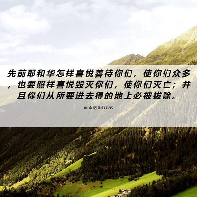 Picture 06 - 申 命 记 28:63 CUVS - 先 前 耶 和 华 怎 样 喜 悦 善 待 你 - Bible Verse Picture
