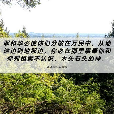 Picture 06 - 申 命 记 28:64 CUVS - 耶 和 华 必 使 你 们 分 散 在 万 民 - Bible Verse Picture