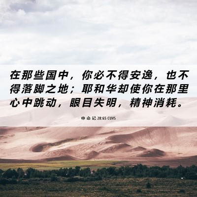 Picture 06 - 申 命 记 28:65 CUVS - 在 那 些 国 中 ， 你 必 不 得 安 逸 - Bible Verse Picture
