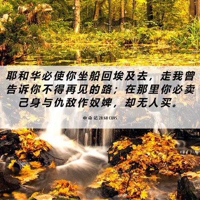Picture 06 - 申 命 记 28:68 CUVS - 耶 和 华 必 使 你 坐 船 回 埃 及 去 - Bible Verse Picture