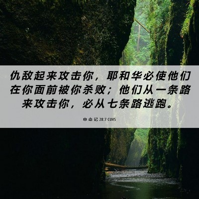 Picture 06 - 申 命 记 28:7 CUVS - 仇 敌 起 来 攻 击 你 ， 耶 和 华 必 - Bible Verse Picture