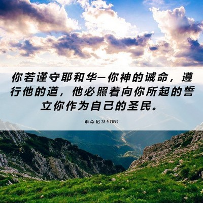 Picture 06 - 申 命 记 28:9 CUVS - 你 若 谨 守 耶 和 华 ─ 你 神 的 诫 - Bible Verse Picture