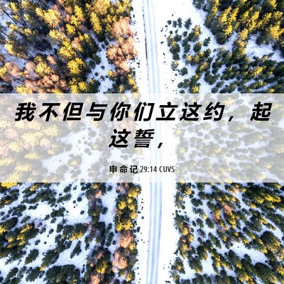 Picture 06 - 申 命 记 29:14 CUVS - 我 不 但 与 你 们 立 这 约 ， 起 这 - Bible Verse Picture