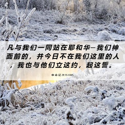 Picture 06 - 申 命 记 29:15 CUVS - 凡 与 我 们 一 同 站 在 耶 和 华 ─ - Bible Verse Picture