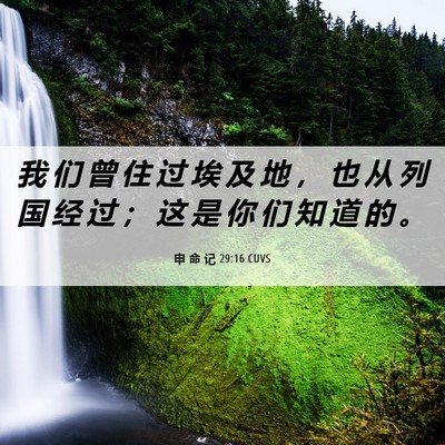 Picture 06 - 申 命 记 29:16 CUVS - 我 们 曾 住 过 埃 及 地 ， 也 从 列 - Bible Verse Picture