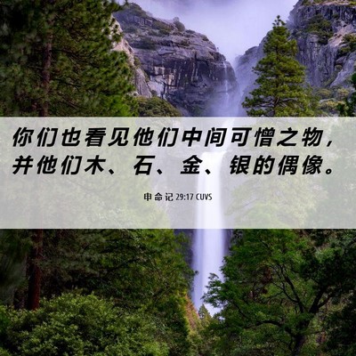 Picture 06 - 申 命 记 29:17 CUVS - 你 们 也 看 见 他 们 中 间 可 憎 之 - Bible Verse Picture