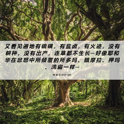 Picture 06 - 申 命 记 29:23 CUVS - 又 看 见 遍 地 有 硫 磺 ， 有 盐 卤 - Bible Verse Picture