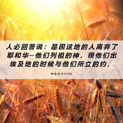 Picture 06 - 申 命 记 29:25 CUVS - 人 必 回 答 说 ： 是 因 这 地 的 人 - Bible Verse Picture