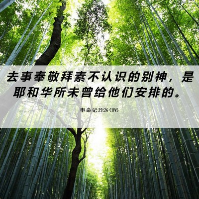 Picture 06 - 申 命 记 29:26 CUVS - 去 事 奉 敬 拜 素 不 认 识 的 别 神 - Bible Verse Picture