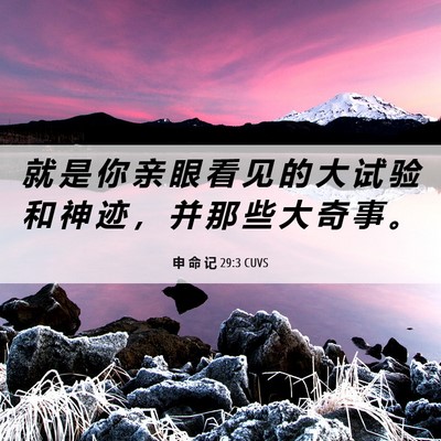 Picture 06 - 申 命 记 29:3 CUVS - 就 是 你 亲 眼 看 见 的 大 试 验 和 - Bible Verse Picture