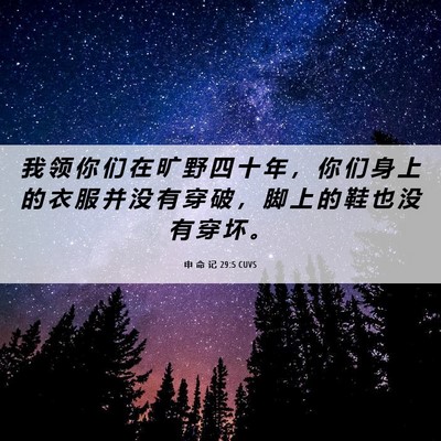 Picture 06 - 申 命 记 29:5 CUVS - 我 领 你 们 在 旷 野 四 十 年 ， 你 - Bible Verse Picture