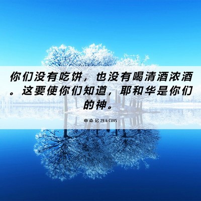 Picture 06 - 申 命 记 29:6 CUVS - 你 们 没 有 吃 饼 ， 也 没 有 喝 清 - Bible Verse Picture