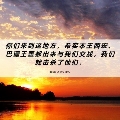 Picture 06 - 申 命 记 29:7 CUVS - 你 们 来 到 这 地 方 ， 希 实 本 王 - Bible Verse Picture