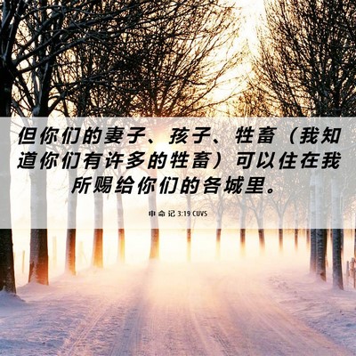 Picture 06 - 申 命 记 3:19 CUVS - 但 你 们 的 妻 子 、 孩 子 、 牲 畜 - Bible Verse Picture