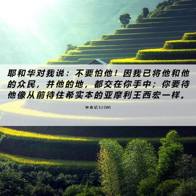 Picture 06 - 申 命 记 3:2 CUVS - 耶 和 华 对 我 说 ： 不 要 怕 他 ！ - Bible Verse Picture