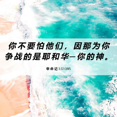 Picture 06 - 申 命 记 3:22 CUVS - 你 不 要 怕 他 们 ， 因 那 为 你 争 - Bible Verse Picture