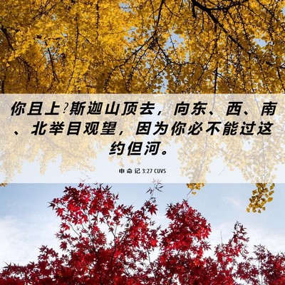 Picture 06 - 申 命 记 3:27 CUVS - 你 且 上 ? 斯 迦 山 顶 去 ， 向 东 、 - Bible Verse Picture