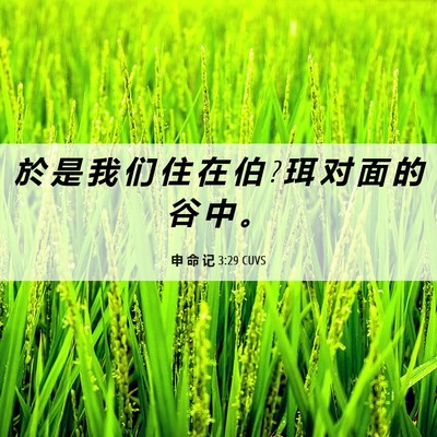 Picture 06 - 申 命 记 3:29 CUVS - 於 是 我 们 住 在 伯 ? 珥 对 面 的 谷 - Bible Verse Picture