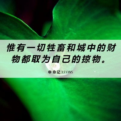 Picture 06 - 申 命 记 3:7 CUVS - 惟 有 一 切 牲 畜 和 城 中 的 财 物 - Bible Verse Picture