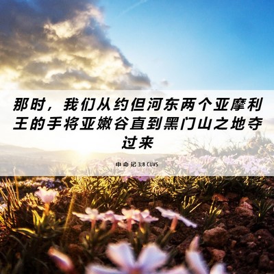 Picture 06 - 申 命 记 3:8 CUVS - 那 时 ， 我 们 从 约 但 河 东 两 个 - Bible Verse Picture