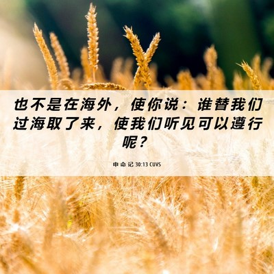 Picture 06 - 申 命 记 30:13 CUVS - 也 不 是 在 海 外 ， 使 你 说 ： 谁 - Bible Verse Picture