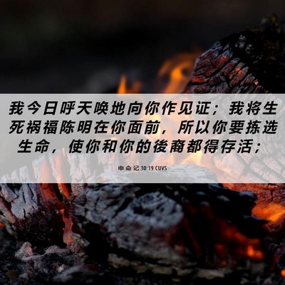 Picture 06 - 申 命 记 30:19 CUVS - 我 今 日 呼 天 唤 地 向 你 作 见 证 - Bible Verse Picture
