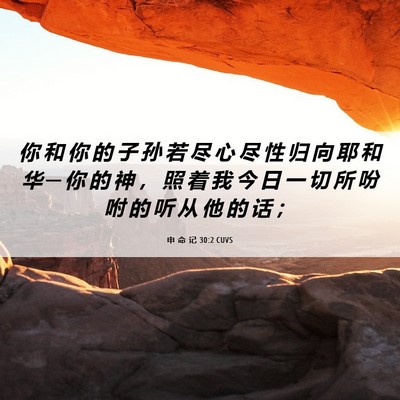 Picture 06 - 申 命 记 30:2 CUVS - 你 和 你 的 子 孙 若 尽 心 尽 性 归 - Bible Verse Picture