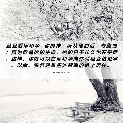 Picture 06 - 申 命 记 30:20 CUVS - 且 且 爱 耶 和 华 ─ 你 的 神 ， 听 - Bible Verse Picture
