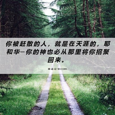Picture 06 - 申 命 记 30:4 CUVS - 你 被 赶 散 的 人 ， 就 是 在 天 涯 - Bible Verse Picture