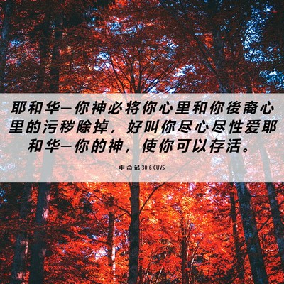 Picture 06 - 申 命 记 30:6 CUVS - 耶 和 华 ─ 你 神 必 将 你 心 里 和 - Bible Verse Picture