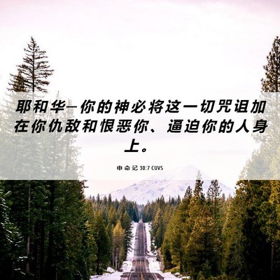 Picture 06 - 申 命 记 30:7 CUVS - 耶 和 华 ─ 你 的 神 必 将 这 一 切 - Bible Verse Picture