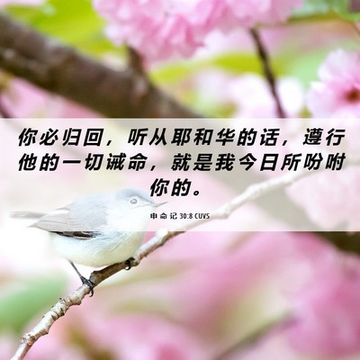 Picture 06 - 申 命 记 30:8 CUVS - 你 必 归 回 ， 听 从 耶 和 华 的 话 - Bible Verse Picture