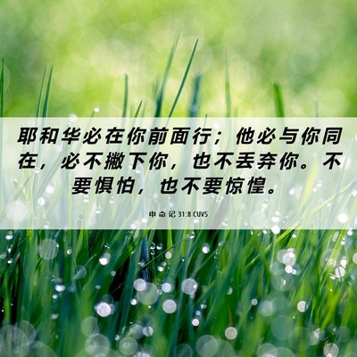 Picture 06 - 申 命 记 31:8 CUVS - 耶 和 华 必 在 你 前 面 行 ； 他 必 - Bible Verse Picture