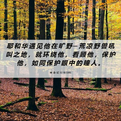 Picture 06 - 申 命 记 32:10 CUVS - 耶 和 华 遇 见 他 在 旷 野 ─ 荒 凉 - Bible Verse Picture