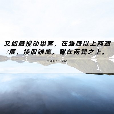 Picture 06 - 申 命 记 32:11 CUVS - 又 如 鹰 搅 动 巢 窝 ， 在 雏 鹰 以 - Bible Verse Picture