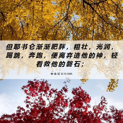 Picture 06 - 申 命 记 32:15 CUVS - 但 耶 书 仑 渐 渐 肥 胖 ， 粗 壮 ， - Bible Verse Picture