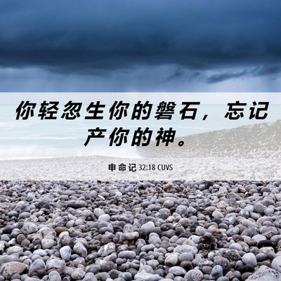 Picture 06 - 申 命 记 32:18 CUVS - 你 轻 忽 生 你 的 磐 石 ， 忘 记 产 - Bible Verse Picture