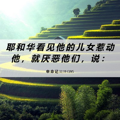 Picture 06 - 申 命 记 32:19 CUVS - 耶 和 华 看 见 他 的 儿 女 惹 动 他 - Bible Verse Picture