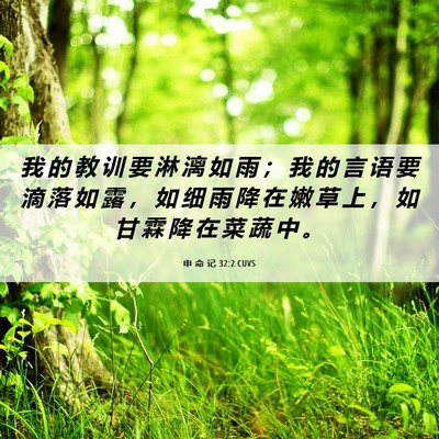 Picture 06 - 申 命 记 32:2 CUVS - 我 的 教 训 要 淋 漓 如 雨 ； 我 的 - Bible Verse Picture