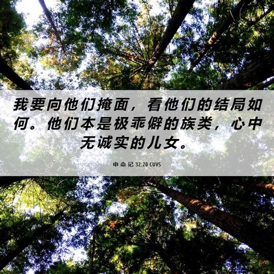 Picture 06 - 申 命 记 32:20 CUVS - 我 要 向 他 们 掩 面 ， 看 他 们 的 - Bible Verse Picture