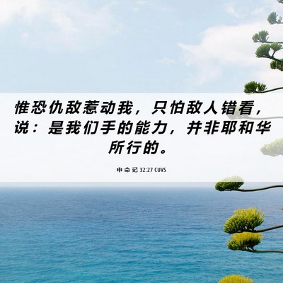 Picture 06 - 申 命 记 32:27 CUVS - 惟 恐 仇 敌 惹 动 我 ， 只 怕 敌 人 - Bible Verse Picture