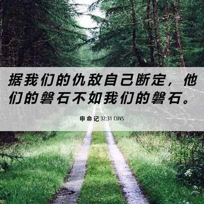 Picture 06 - 申 命 记 32:31 CUVS - 据 我 们 的 仇 敌 自 己 断 定 ， 他 - Bible Verse Picture