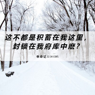 Picture 06 - 申 命 记 32:34 CUVS - 这 不 都 是 积 蓄 在 我 这 里 ， 封 - Bible Verse Picture