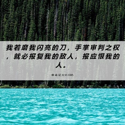 Picture 06 - 申 命 记 32:41 CUVS - 我 若 磨 我 闪 亮 的 刀 ， 手 掌 审 - Bible Verse Picture