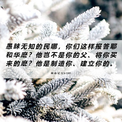 Picture 06 - 申 命 记 32:6 CUVS - 愚 昧 无 知 的 民 哪 ， 你 们 这 样 - Bible Verse Picture