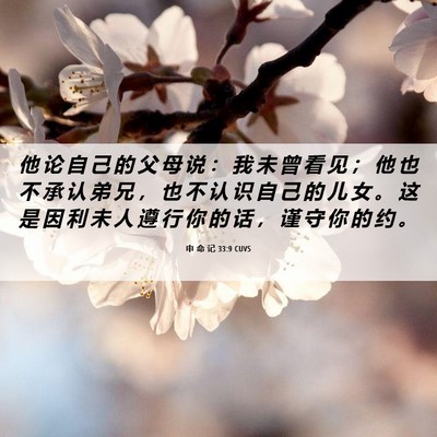 Picture 06 - 申 命 记 33:9 CUVS - 他 论 自 己 的 父 母 说 ： 我 未 曾 - Bible Verse Picture