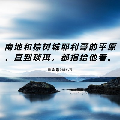 Picture 06 - 申 命 记 34:3 CUVS - 南 地 和 棕 树 城 耶 利 哥 的 平 原 - Bible Verse Picture
