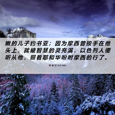Picture 06 - 申 命 记 34:9 CUVS - 嫩 的 儿 子 约 书 亚 ； 因 为 摩 西 - Bible Verse Picture