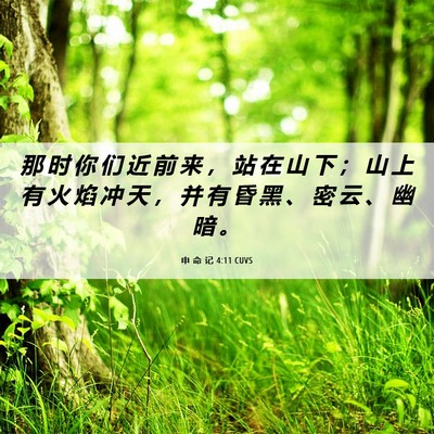 Picture 06 - 申 命 记 4:11 CUVS - 那 时 你 们 近 前 来 ， 站 在 山 下 - Bible Verse Picture